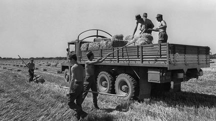 1976-2003 : plongée dans les archives des canicules en France