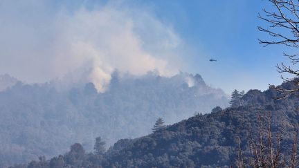 Incendie à Sampolo, en Corse, le 24 février 2019. (JEAN-PIERRE BELZIT / MAXPPP)