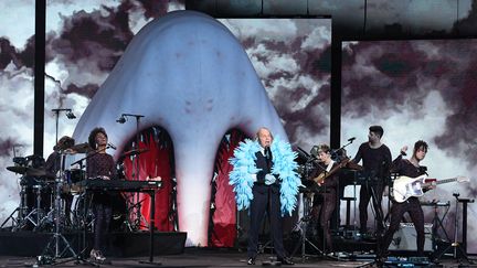 Philippe Katerine sur la scène des 35e Victoires de la Musique le 14 février 2020.&nbsp; (ALAIN JOCARD / AFP)