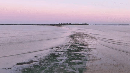 Accéder à pied à l'île Madame, en Charente Maritime, n'est possible que quelques heures par jours. Il faut pour ceci attendre l’heure où l'eau laisse entrevoir le chemin. (France 3)