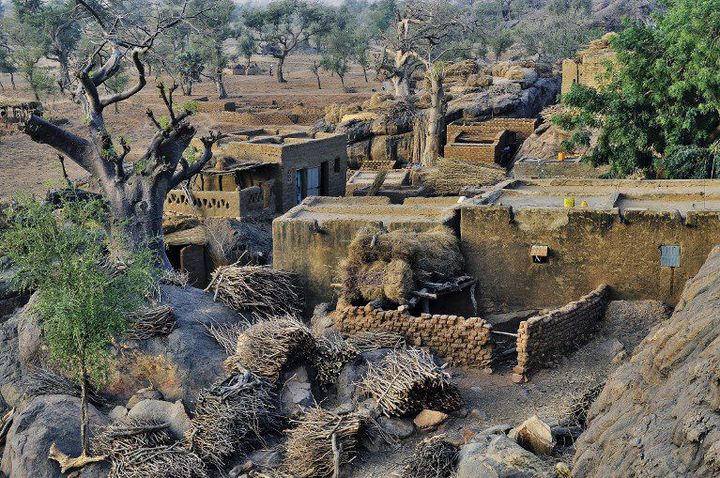 Le village dogon de Yendouma, installé au pied des falaises de Biandagara (centre du Mali). Photo prise le 6 août 2015.