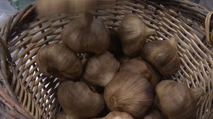 Agriculture : rencontre avec un producteur d'ail noir dans le Gers (FRANCE 3)