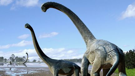 Une représentation de la nouvelle espèce de dinosaure&nbsp;Savannasaurus elliottorum, réalisée le 20 octobre 2016 par un artiste. (TRAVIS TISCHLER / NATURE PUBLISHING GROUP / AFP)