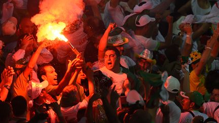 La joie des supporters algériens (PEDRO UGARTE / AFP)