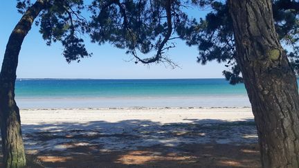 La plage du Cap Coz (Finistère) à quelques heures de sa réouverture après deux mois de confinement, le 15 mai 2020. (AURÉLIE LAGAIN / RADIO FRANCE)