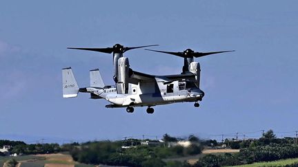 Un Osprey américain lors d'un exercice militaire conjoint avec le Japon, le 24 octobre 2023 à l'aéroport d'Ishigaki (Japon). (NOBUHA ENDO / YOMIURI / AFP)