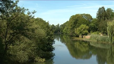 3 cas de maladie du rat en Haute-Saône