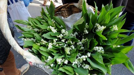 En 2023, les Français ont dépensé 19,6 millions d'euros pour l'achat de muguet.  (FREDERIC CHARMEUX / MAXPPP)