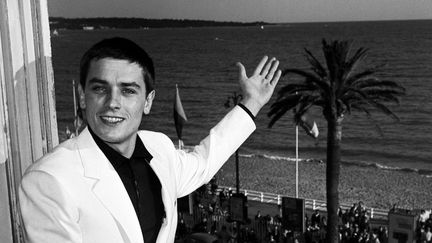 Alain Delon au 14e Festival de Cannes en 1961.
 (HUFFSCHMITT/SIPA)