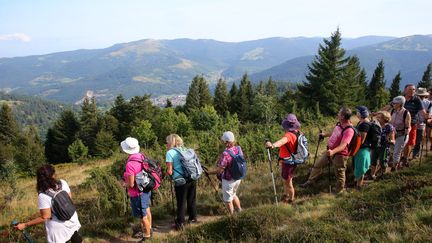 Un groupe de randonneurs en promenade sur les sentiers de randonnées du Gaschney, en septembre 2021. Photo d'illustration. (VANESSA MEYER / MAXPPP)