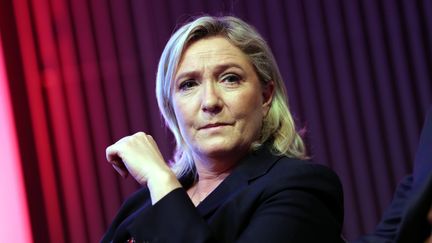 Marine Le Pen lors d'un meeting à Hayange (Moselle), le 25 novembre 2015. (MAXPPP)