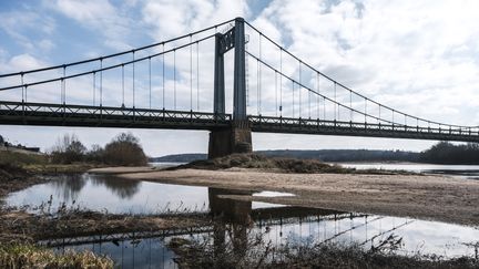 Le débit de la Loire est déjà très bas, du fait de la sécheresse, près du village des Rosiers-sur-Loire (Maine-et-Loire), le 5 mars 2023. (JEAN-MICHEL DELAGE / HANS LUCAS)