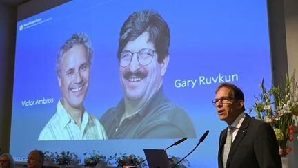 Le Nobel de médecine a été décerné aux chercheurs américains Victor Ambros et Gary Ruvkun, le 7 octobre 2024 à Stockholm (Suède). (JONATHAN NACKSTRAND / AFP)