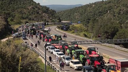 Colère agricole : les agriculteurs bloquent la frontière espagnole à quelques jours des Européennes (France 2)