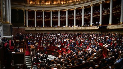 L'Assemblée nationale, le 28 juin 2022. (CHRISTOPHE ARCHAMBAULT / AFP)