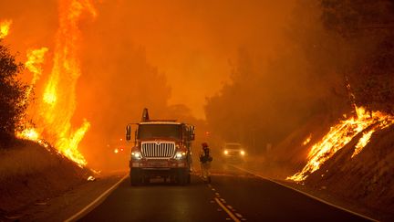 Des pompiers luttent contre un feu de forêt à Oroville, en Californie (Etats-Unis), le 8 juillet 2017. (JOSH EDELSON / AFP)