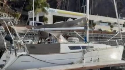 Ports : le fléau des vols de bateaux de plaisance