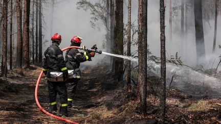 Des pompiers arrosent des points chauds, le 13 août 2022 à Belin-Béliet (Gironde). (THIBAUD MORITZ / AFP)