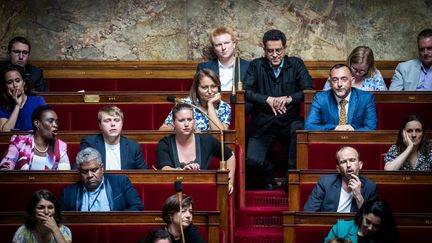 Les députés LFI souhaitent abroger le délit d'apologie du terrorisme