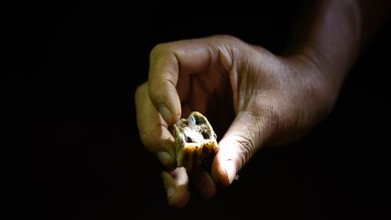 Un chercheur montre une dent fossilisée datant de 80 000 à 120 000 ans avant notre ère, en Chine, le 16 octobre 2015. (LI GA / XINHUA / AFP)