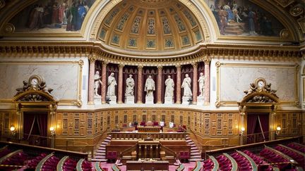 Laurent Fabius a lu la déclaration de politique générale du gouvernement devant le Sénat. (ESCUDERO PATRICK / HEMIS.FR)