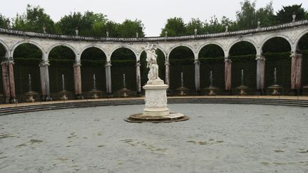 Cet été, c'est l'artiste dano-islandais Olafur Eliasson, grand défenseur de l'environnement, qui investit les jardins et les salons de Versailles : dehors, il a installé une grande chute d'eau, un bassin de boue de glacier et un brumisateur géant. Dedans, il a imaginé des jeux de miroirs qui se fondent dans l'architecture (jusqu'au 30 octobre 2016). Photo : "Glacial Rock Flour Garden", dans le bosquet de la Colonnade
 (photo Valérie Oddos / Culturebox / France Télévisions)