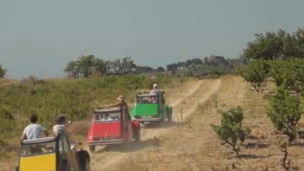 Des touristes visitent le domaine du Fitou dans l'Aude. (FRANCE 2)