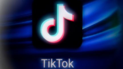 Le logo TikTok. (KIRILL KUDRYAVTSEV / AFP)