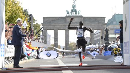 Le Kenyan Dennis Kimetto &agrave; l'arriv&eacute;e du marathon de Berlin (Allemagne), le 28 septembre 2014.&nbsp; (TOBIAS SCHWARZ / AFP)