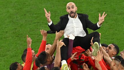 Les joueurs marocains célèbrent leur sélectionneur, Walid Regragui, le 6 décembre 2022 lors de la Coupe du monde de football au Qatar. (GLYN KIRK / AFP)