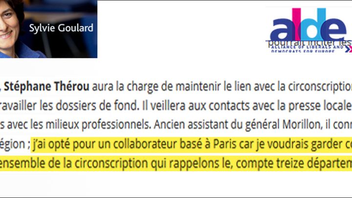 Stéphane Thérou était responsable de la formation des élus au sein du MoDem et a été assistant parlementaire de Sylvie Goulard de novembre 2009 à février 2015. (CAPTURE D'ÉCRAN)