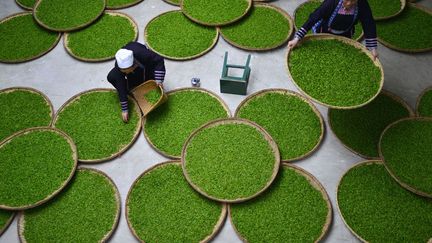 Des femmes de l'ethnie Dong trient des feuilles de th&eacute; dans une usine de Liping (Chine), le 28 mars 2014. (SHENG LI / REUTERS)