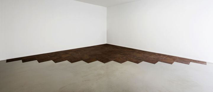 Vue de l’exposition, Carl Andre: Sculpture as Place, 1958–2010 au Musée d’Art moderne de la Ville de Paris ("Ferox", 1982)
 (Pierre Antoine)