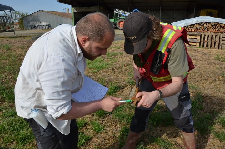 Les g&eacute;ologues de Variscan, J&eacute;r&ocirc;me Gouin (&agrave; gauche) et Maxime Picault (&agrave; droite), examinent un pr&eacute;l&egrave;vement de sol,&nbsp;le 15 avril 2015 &agrave; Montrevault (Maine-et-Loire). (THOMAS BAIETTO / FRANCETV INFO)