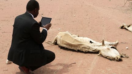 Un employ&eacute; photographie avec son iPad une carcasse de vache morte en raison de la s&eacute;cheresse &agrave; la fronti&egrave;re entre le Kenya et la Somalie, le 23 juillet 2011. (BARRY MALONE / REUTERS)