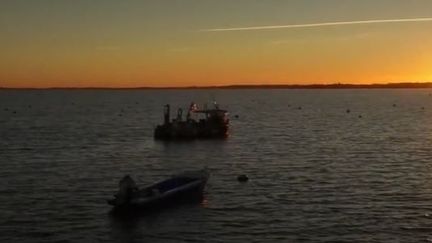 Charente-Maritime : l'Île d'Aix, un petit paradis sans coronavirus (CAPTURE ECRAN FRANCE 3)