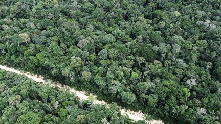 Le Rio Grande, dans la forêt amazonienne (illustration). (LUCAS AMORELLI / LE PICTORIUM / MAXPPP)