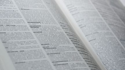 Des pages du dictionnaire le Petit Larousse.&nbsp; (JEAN-CHRISTOPHE BOURDILLAT / RADIO FRANCE)