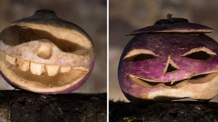 Des "navets d'Halloween" soigneusement sélectionnés par le très honorable "English Heritage".
 (CHRISTOPHER ISON / ENGLISH HERITAGE / AFP)