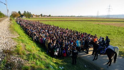 La police escorte des migrants vers un centre dédié aux réfugiés près de Rigonce (Slovénie) après avoir traversé la frontière avec la Croatie, le 24 octobre 2015. (JURE MAKOVEC / AFP)