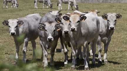 Agriculture : la profession s'inquiète pour son avenir