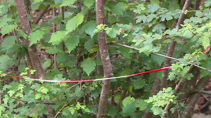 Dimanche 14 mai, une mère de famille de 41 ans a été retrouvé morte dans un fossé, près de Tarbes (Hautes-Pyrénées). Elle aurait été tuée de plusieurs coups de couteau à la gorge. Le corps de son ancien compagnon, le principal suspect, a aussi été découvert, pendu à un arbre. (FRANCEINFO)