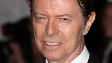 David Bowie (2008)
 (Andrew H. Walker/AFP)