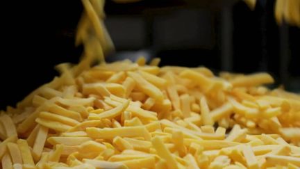 Les producteurs de frites investissent dans les Hauts-de-France. En France, deux pommes de terre sur trois viennent de cette région. (France 2)