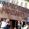 Une marche contre Monsanto à Marseille, le 20 mai 2017. (CITIZENSIDE / AFP)