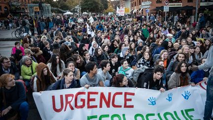 Marche pour le climat à Toulouse le 29 novembre 2019. (LILIAN CAZABET / HANS LUCAS)