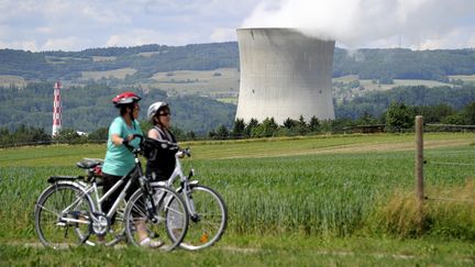 Près de la centrale nucléaire de&nbsp;Leibstadt (Suisse), le 22 mai 2011.&nbsp; (FABRICE COFFRINI / AFP)