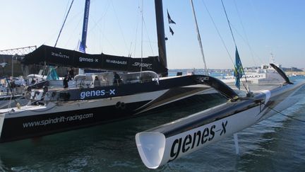 &nbsp; (Spindrift 2, le maxi-trimaran de cette Route du Rhum © RADIO FRANCE/Fabrice Rigobert)