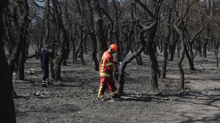 Un feu a pris le 14 août 2023 à Saint-André, dans les Pyrénées-Orientales. (CHARLES BARON / MAXPPP)