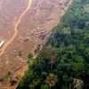 Une zone dévastée par un incendie dans la région de Labrea, dans l'état d'Amazonie, au Brésil, le 2 septembre 2022.&nbsp; (DOUGLAS MAGNO / AFP)